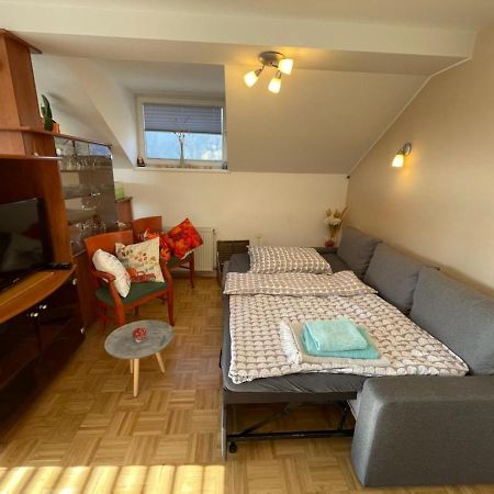 Apartment Kranj - Huge Terrace, Free P, Wi - Fi, Ac المظهر الخارجي الصورة