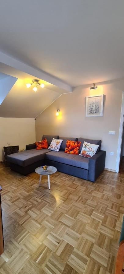 Apartment Kranj - Huge Terrace, Free P, Wi - Fi, Ac المظهر الخارجي الصورة