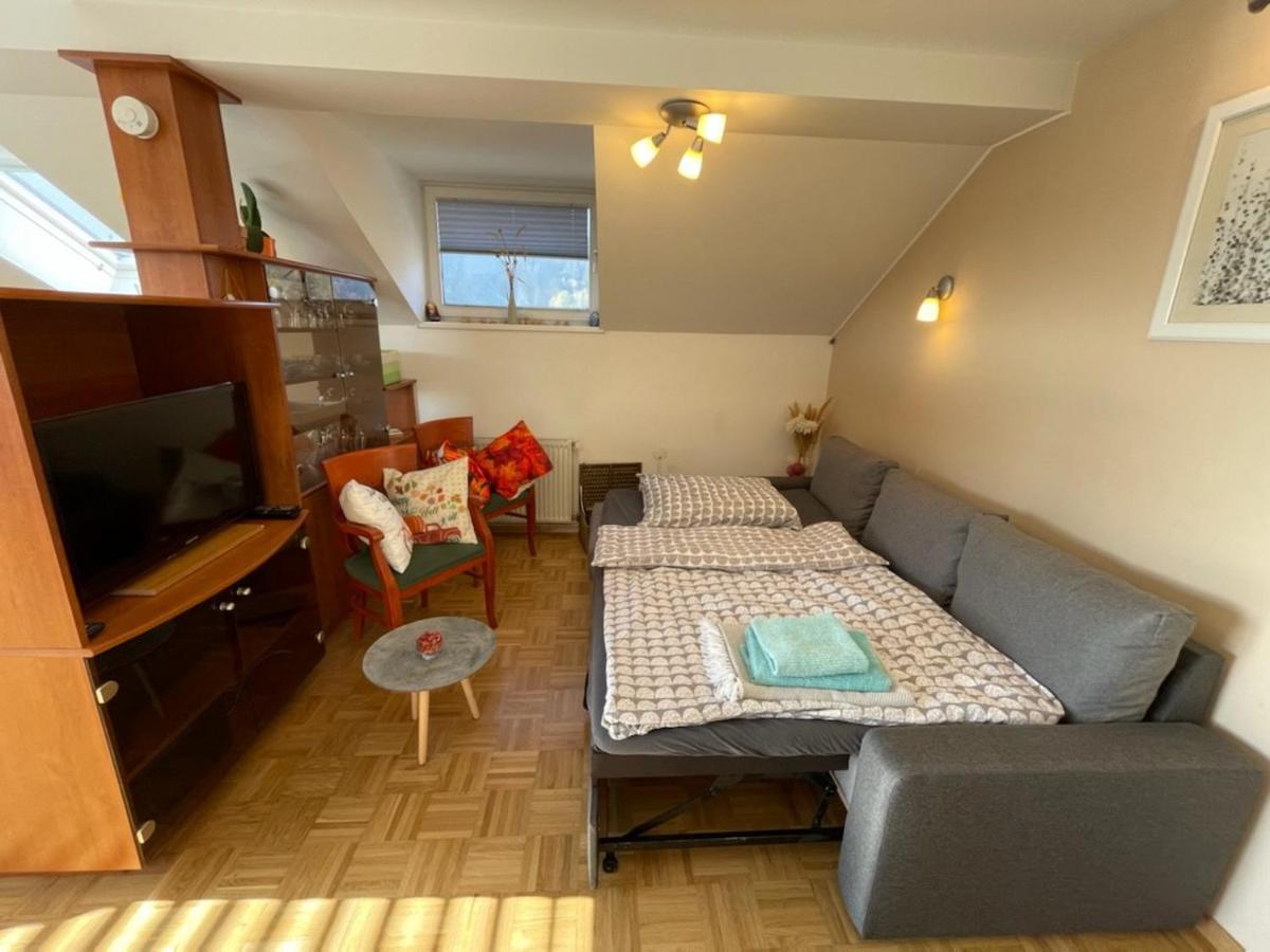 Apartment Kranj - Huge Terrace, Free P, Wi - Fi, Ac المظهر الخارجي الصورة