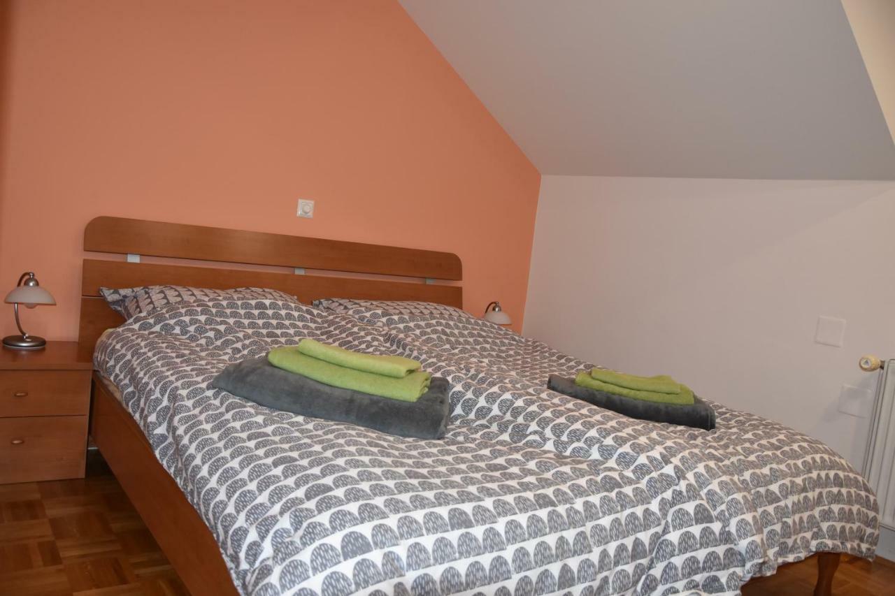 Apartment Kranj - Huge Terrace, Free P, Wi - Fi, Ac المظهر الخارجي الصورة
